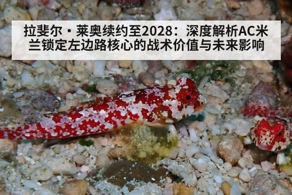 拉斐尔·莱奥续约至2028：深度解析AC米兰锁定左边路核心的战术价值与未来影响（j9 game）