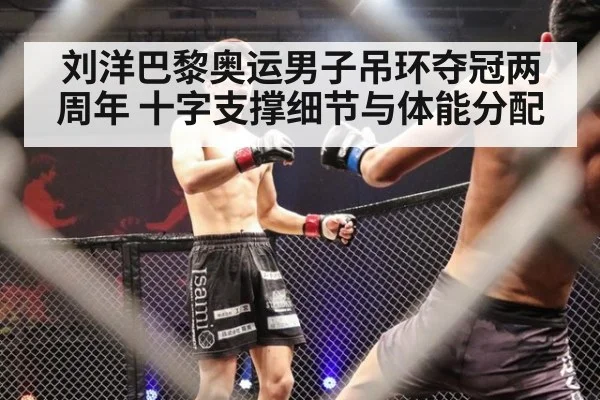 刘洋巴黎奥运男子吊环夺冠两周年 十字支撑细节与体能分配